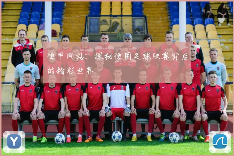 德甲网站：探秘德国足球联赛背后的精彩世界
