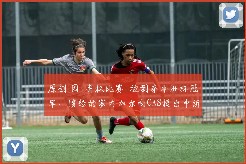 原创 因_弃权比赛_被剥夺非洲杯冠军,愤怒的塞内加尔向CAS提出申诉