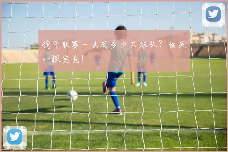 德甲联赛一共有多少只球队？快来一探究竟！