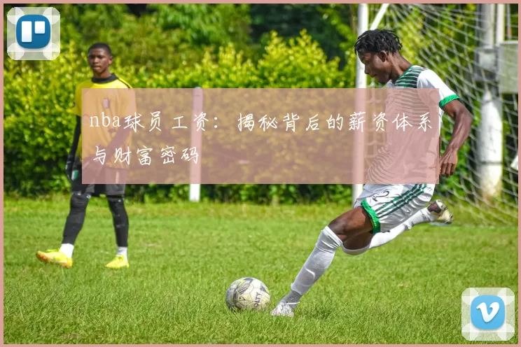 nba球员工资:揭秘背后的薪资体系与财富密码