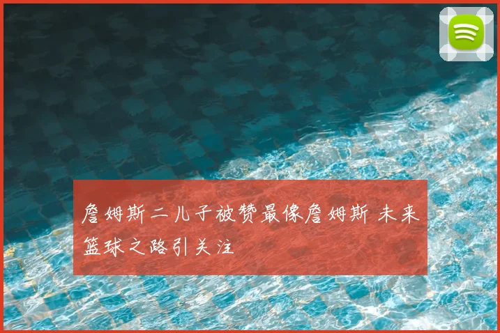 詹姆斯二儿子被赞最像詹姆斯 未来篮球之路引关注