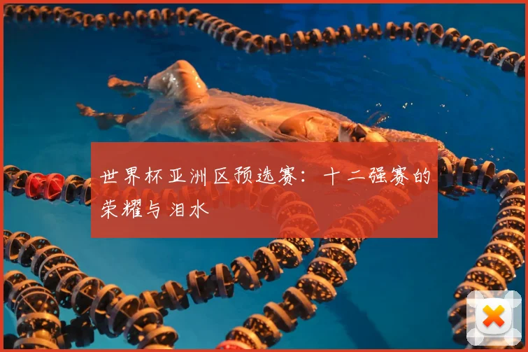 世界杯亚洲区预选赛:十二强赛的荣耀与泪水