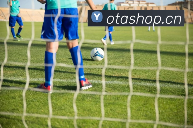 爱游戏ayx官方网登录平台生态图