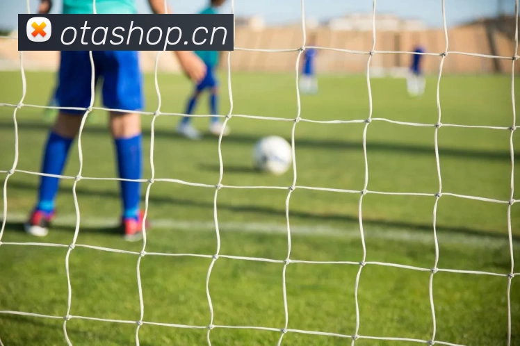 数据防护可视化